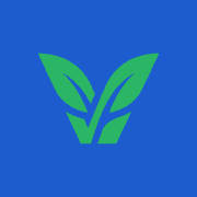 Vernity – logo